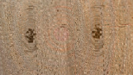 Topic afbeelding Neil Mewes 5Sc2y0raksg Unsplash