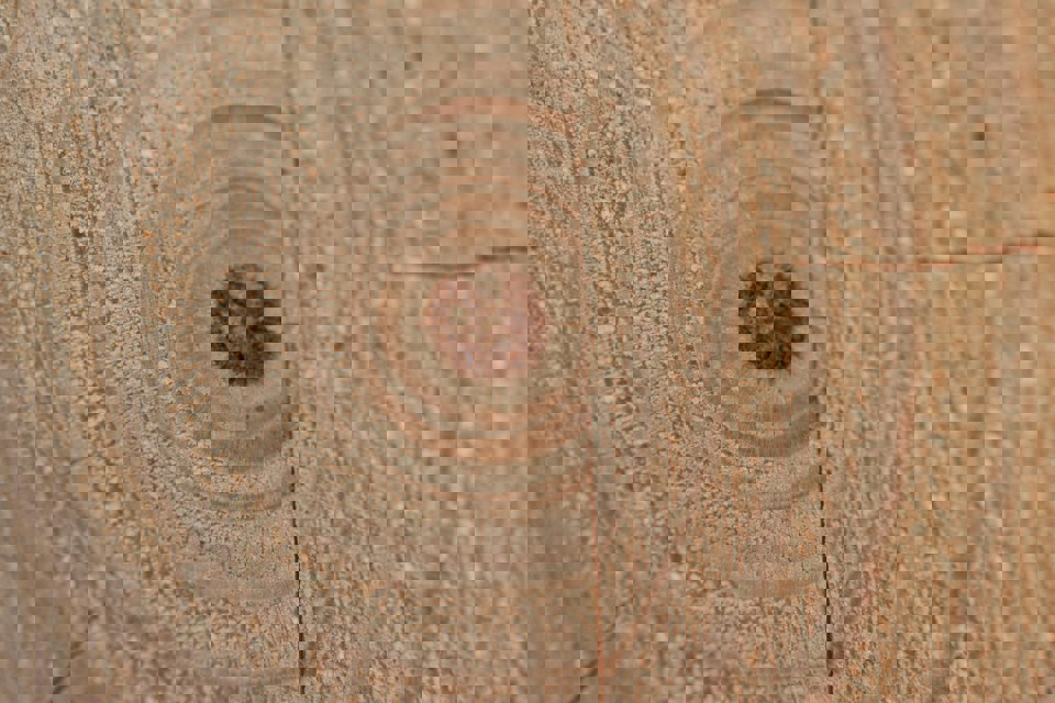 Hero afbeelding Neil Mewes 5Sc2y0raksg Unsplash